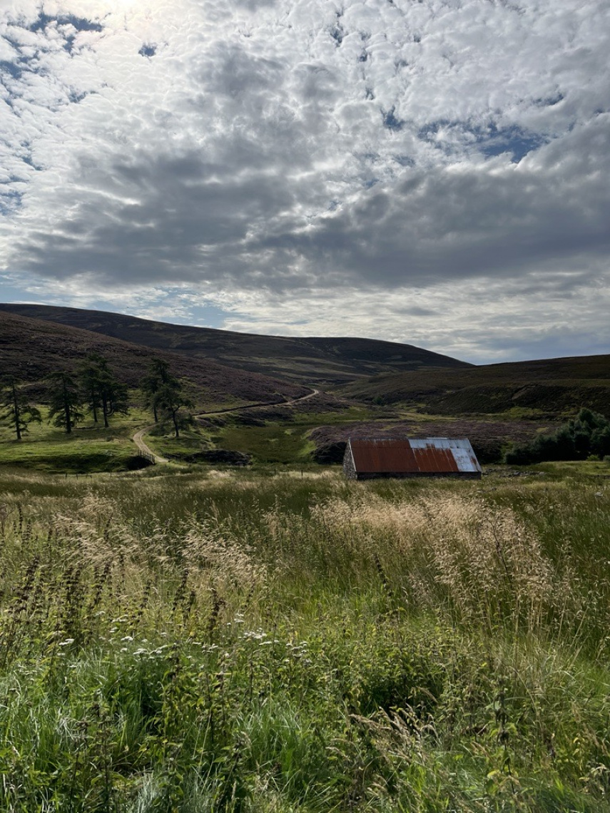 Communities must benefit from Scotland’s changing land use News